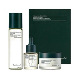 Pyunkang Yul PKY Calming Trial Gift Set Exfoliation Toner Serum Facial Skin Hydrating Cream Vegan Korean Skin Care (3 Item Set) Calming line / 편강 율 PKY 진정 시험 선물 세트 각질 제거 토너 세럼 페이셜 스킨 하이드레이팅 크림 비건 코리안 스킨케어 (3개 품목 세트) Calming line