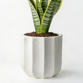 10 Inch Ceramic Plant Pot for Indoor Plants with Drainage Hole