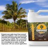 Endurant Palm Colorant – Non-Toxic Palm Tree Protector - Enhances