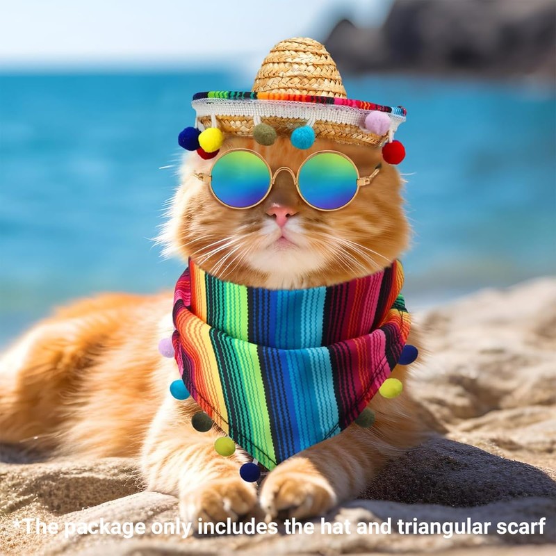 AIMALL Mexican Style Pet Bandana and Straw Hat Set, Colourful