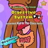 Journey through the digestive system