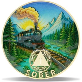 1 Year On Track Sobriety Coin – Journey into Serenity NA Medallion – Spiritual Token for Recovery & Clean Time – Empowering NA AA Chips – Gift for Men & Women