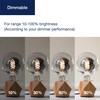 FLSNT G125(G40) Vintage Large Dimmable LED Bulb, 2700K Soft White,