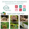 LUCKY HERP 4 Pack 50W UVA UVB Reptile Light Bulbs,