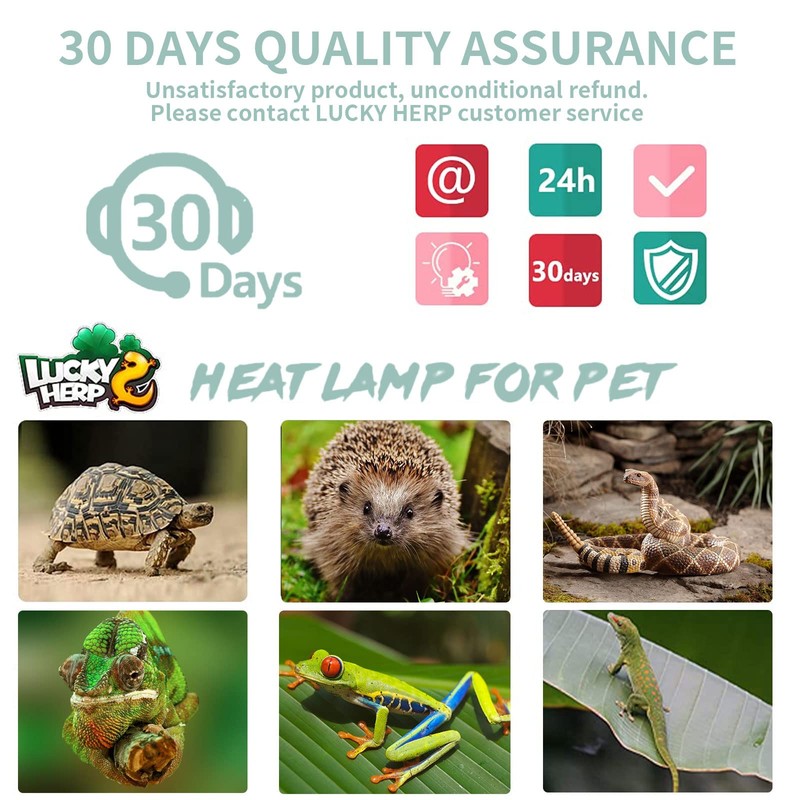 LUCKY HERP 4 Pack 50W UVA UVB Reptile Light Bulbs,