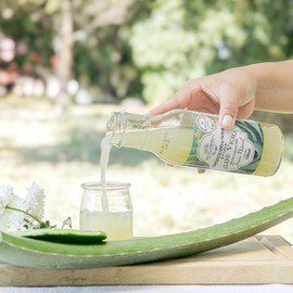 Boutique Herbal FUSIÓN Pulpa de Aloe y Concentrado de nopal 100% orgánico 360ml