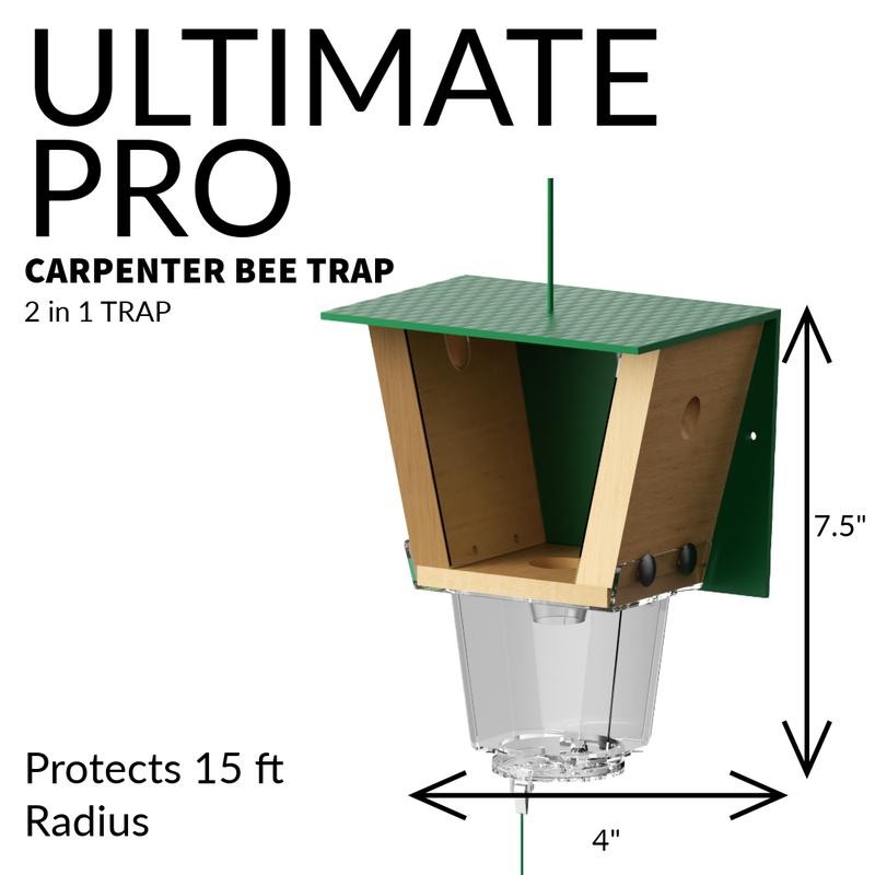 Best Bee Brothers Ultimate Pro, Carpenter Bee Trap with Bee