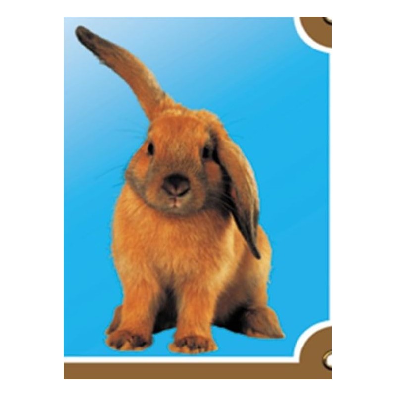 Nobby Warntafel Kaninchen gelb 12 x 3,5 cm