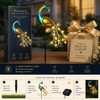 Solar Peacock Garden Light for Outdoor Decor – Auto On/Off