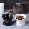 AIMALL Ergonomic Ceramic Cat Bowl - Elevated Cat and Dog
