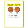 Happy Copper Anniversary! Funny 9th Wedding Anniversary Card