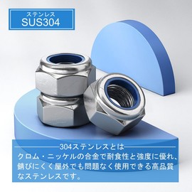 XSAJU Hex Lock Nuts M6 M5 M3 10 Pcs 304 Stainless Steel Nylon Insert Stop Loosening (M6)