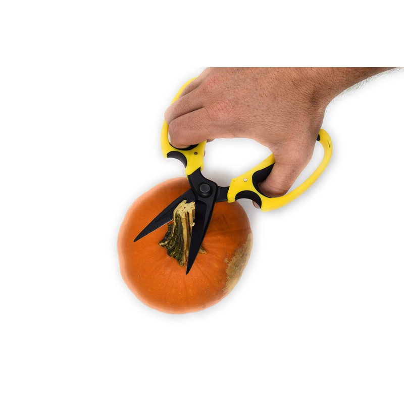 Micman Professional Grade Floral Scissors.