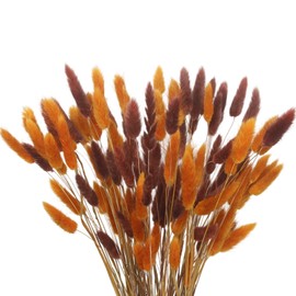CISDUEO 120pcs Dried Bunny Tails Flowers Lagurus Ovatus Tail Dried Flowers Pampas Grass Brown and Orange 17" Natural Dried Floral Arrangement for Boho Decor Home Wedding DIY Farmhouse Table Christmas