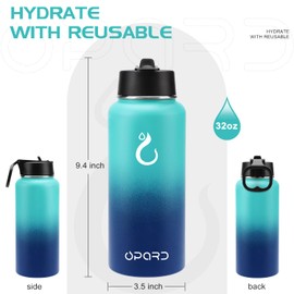 Opard 32oz Insulated Stainless Steel Water Bottle with Handle, Straw Lid with 2 Straws, BPA-Free Leak Proof Metal Water Bottle, Reusable Sports Bottle for Gym Travel, Double Wall Vacuum Insulated