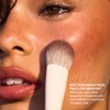 Morphe Best of Blends - Juego de 8 brochas de