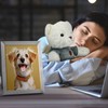 Shappy 2 Sets Cremation Stuffed Bear for Ashes Bear Stuffed