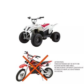 DuRally Razor Dirt Quad 500 Battery Replace Set with Wires (36v 9Ah High Capacity)