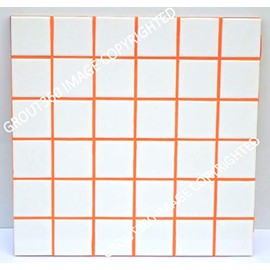 Grout 360 Electric Orange Sanded Tile Grout for Tile Installation Jobs. Use on Floors, Walls, Back Splashes, Showers, and Mosaics. (5)