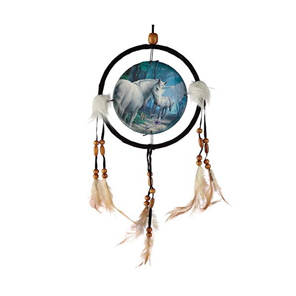 Puckator Decorative Lisa Parker The Journey Home Dreamcatcher, Multi, Height