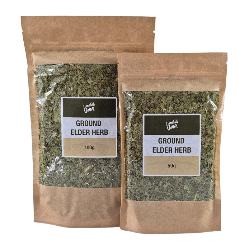 Lowhill Valley Ground Elder Herb - Aegopodium Podagraria Herbal Tea