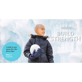 Make A Wish Southwest Llama Cactus Navy & Yellow Reversible Print 4 Piece Quilt Set, Full Queen