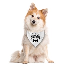 Birthday Boy Dog Bandana, White Dog Bandana, Funny Cute Dog Bandana, Pet Dog Triangle Scarf, Pet Dog Scarf Accessories, Gift for Dog Lover, Dog Bandana for Small Medium Large Dogs (D30)