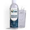 Baja Gold Liquid Trace Mineral Drops – Pure Ocean-Based Minerals