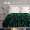 Exclusivo Mezcla Plush Fuzzy Fleece Bed Blanket Queen Size, Super