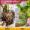 Riare 1QT Orchid Potting Mix for Repotting- Orchid Repotting Kit