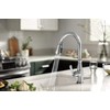 Peerless P7965LF Elmhurst Single-Handle Kitchen Faucet Pull-Down, Chrome