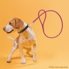 Dogline Soft and Padded Rolled Round Leather Leash for Dogs
