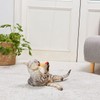 Petio Cat Toy, Kicker Plush with Catnip, Mini Shrimp