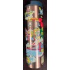Starbucks NEW Starbucks Discovery Series SAN FRANCISCO Metal Tumbler