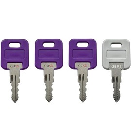 G301 - G391 KeyPower RV Keys for Global Link Precut Keys (3), Select Your Key Number, Comes with a G391 Key (G317)