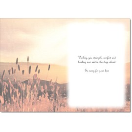doodlecards Sympathy Condolence Bereavement Card Corn field Large A4 Size Large A4 Size with Envelope
