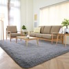 DETUM Grey Runner Rug 2' X 6' Fluffy Gray Area