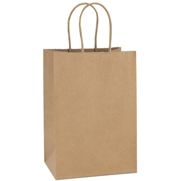 BagDream Kraft Paper Bags 25Pcs 5.25x3.75x8 Inches Small Paper Gift Bags with Handles Party Bags Shopping Bags Kraft Bags Brown Paper Bags Bulk