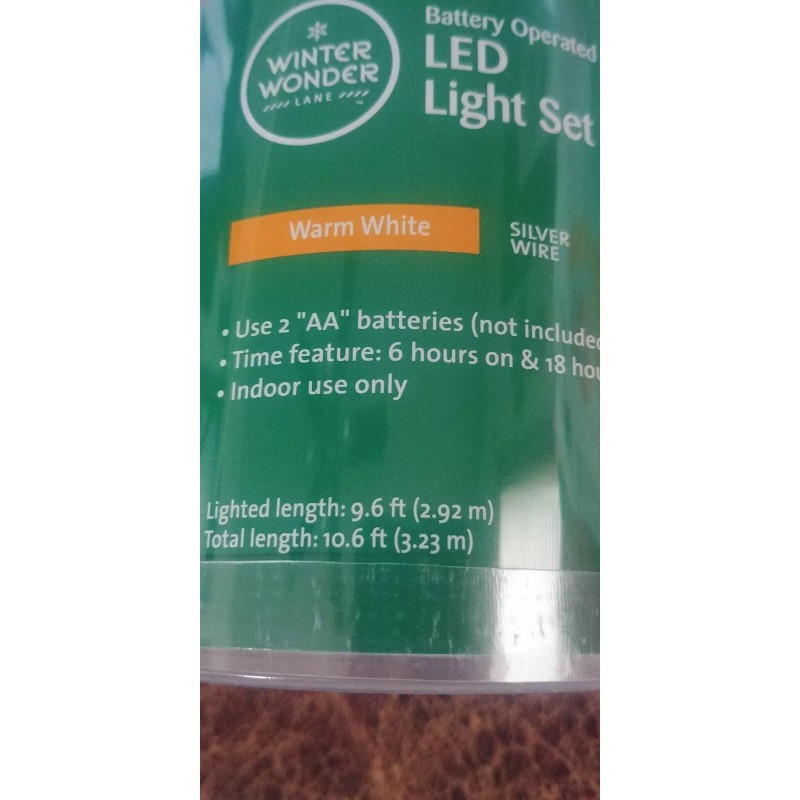 Winter wonder Lane - Holly berry Light 30 Count set