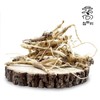 Chamdoori, wild bellflower root, 300g, Hongcheon, Gangwon-do / 참두리 자연산 생 산도라지 300g 강원도 홍천