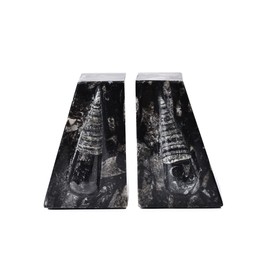 AMOYSTONE 1Pair Decorative Bookends for Shelves, Crystal Stone Bookends Natural Orthoceras Fossil Book Ends Trapezoid 4-5 LBS Height 4.7"