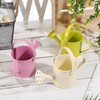 5 Pack Small Metal Watering Cans for Kids, Toy mini