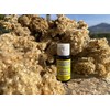 Biotonic Immortelle Dry Oil 15 ml Multifunctional for Body, Face