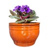 Dphagesy African Violet Pots Self Watering Round Ceramic Violet Pot