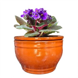 Dphagesy African Violet Pots Self Watering Round Ceramic Violet Pot (Orange, 6 inch)