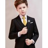 Alizeal Boys Solid Colour Pre-Tied 6 cm Zip Skinny Tie,