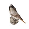 Goebel Bird of the Year 2025 House Redstart Couple Atelier