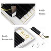 B&Q 1 Tray Self-Fanning Eyelashes, D-0.05-11, Easy Fan Lashes for