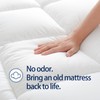 Mattress Topper Queen for Back Pain, Extra Thick Mattress Pad