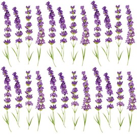 Maydahui 6 Sheets Lavender Flowers Wall Decals Garden Purple Floral Wall Corner Stickers(7.25 x 54 Inch) Peel Stick Removable Art Mural Decor for Living Room Nursery Bedroom